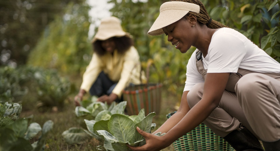 Soutenir l’agriculture régénérative Faire un don pour financer des analyses de sol gratuites